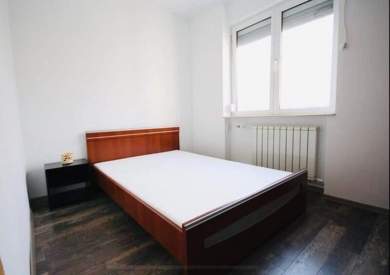 Universitate, proprietar,