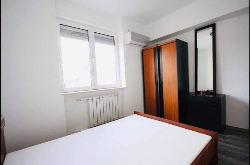 Universitate, proprietar,