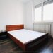 Universitate, proprietar,